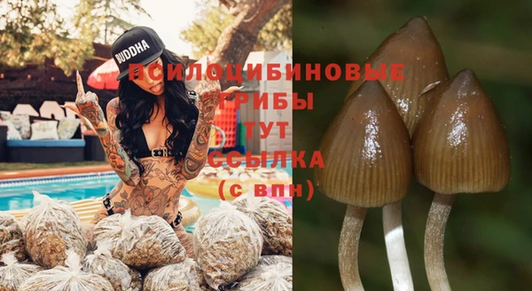 не бодяженный Армянск