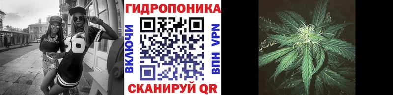 блэк спрут сайт  Певек  Канабис планчик 